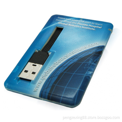 Slim Style Custom Card Shape USB Flash Drive with 2GB Capacity